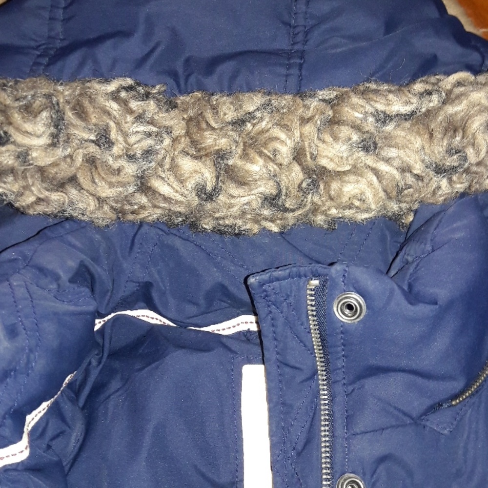 -TRADED-Hollister Feather Down Coat - Picture 4 of 4